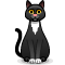 cat cat