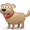 dog dog