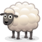 sheep sheep